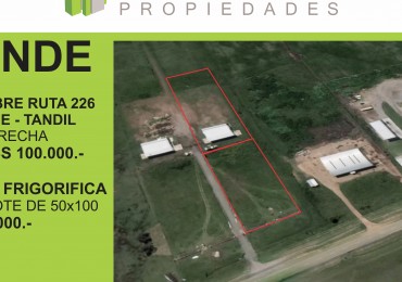 LOTE DE GRAN TAMAÑO